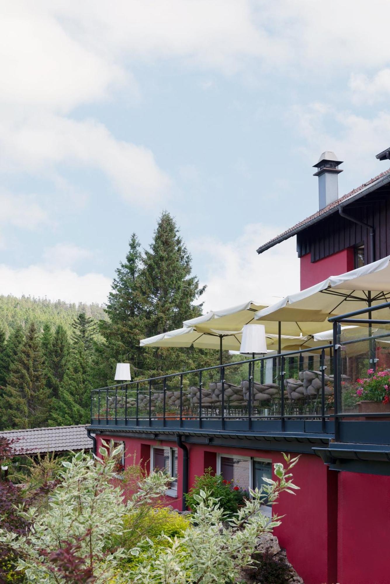 Hotel Restaurant Spa Les Jardins De Sophie Xonrupt-Longemer Esterno foto